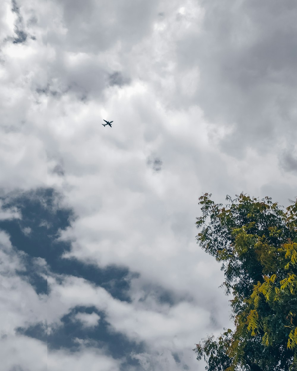 green tree under white clouds during daytime