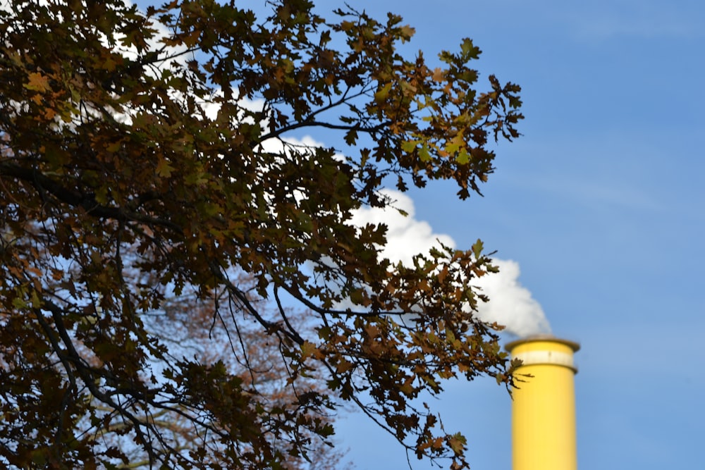 green tree under blue sky during daytime