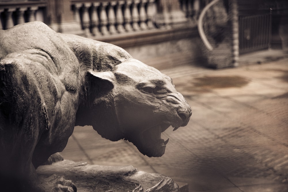 gray elephant statue on brown wooden floor