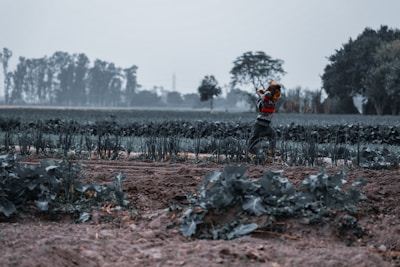 A young child is energetically moving through a field with rows of plants, possibly crops. The scene is set in a rural area with a backdrop of trees and a slightly overcast sky.
