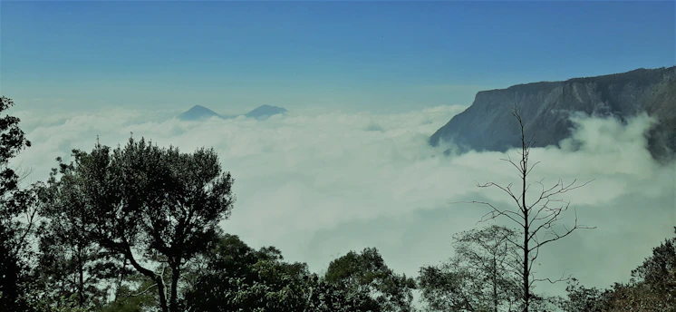 green trees on mountain under white clouds during daytime