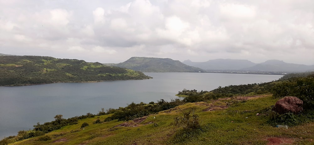 green grass field near body of water under white clouds during daytime