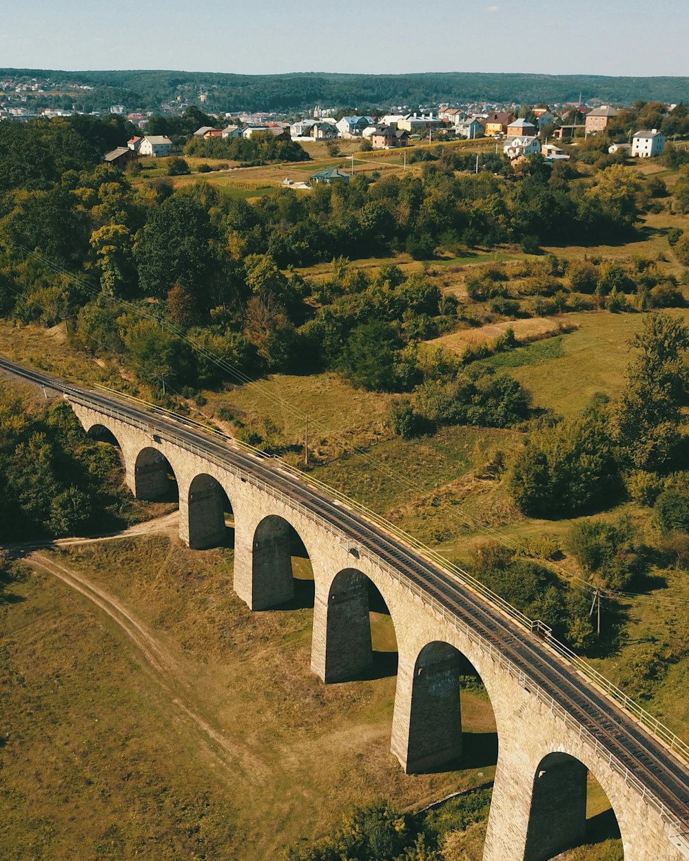 aerial view of green trees and road during daytime