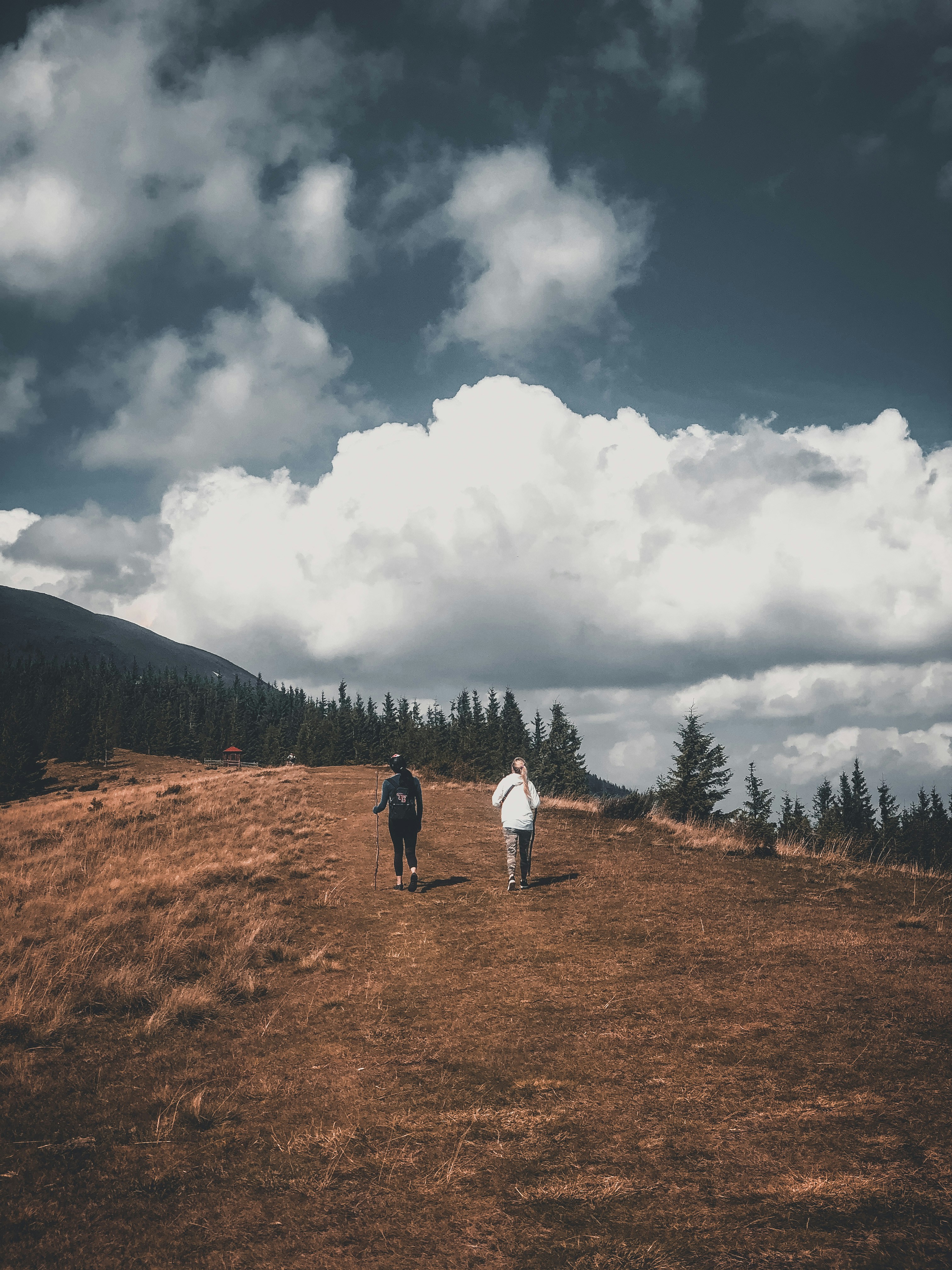 Photo by zamedyanskiy