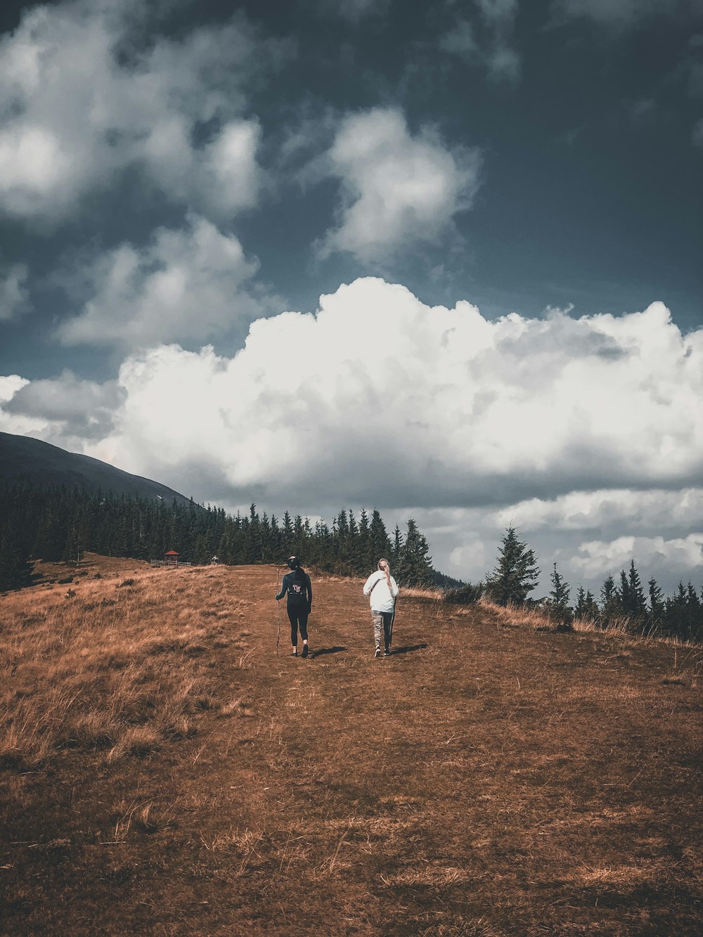 2 person walking on brown field under white clouds during daytime