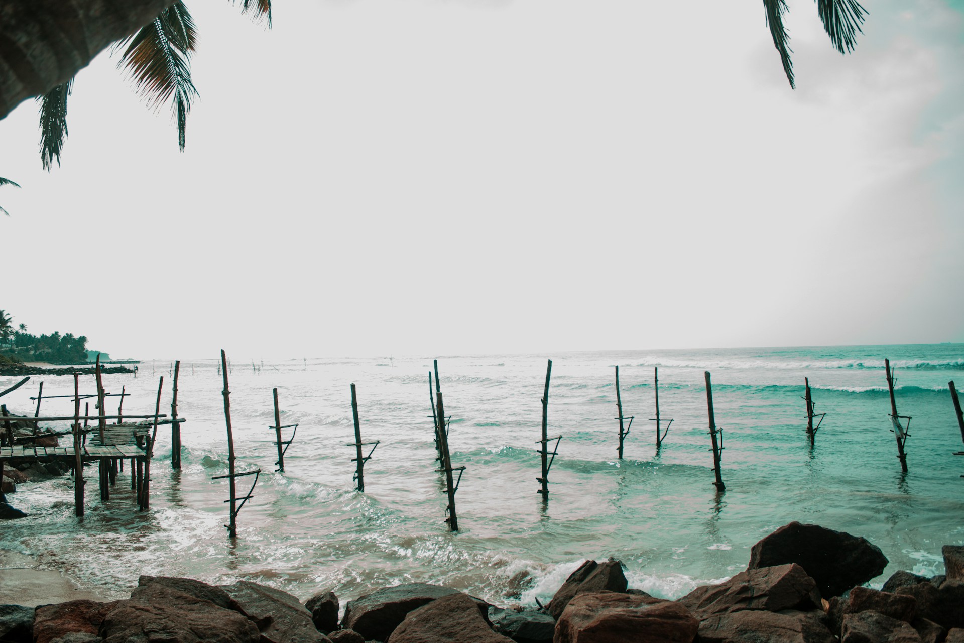 brown wooden poles on sea shore during daytime