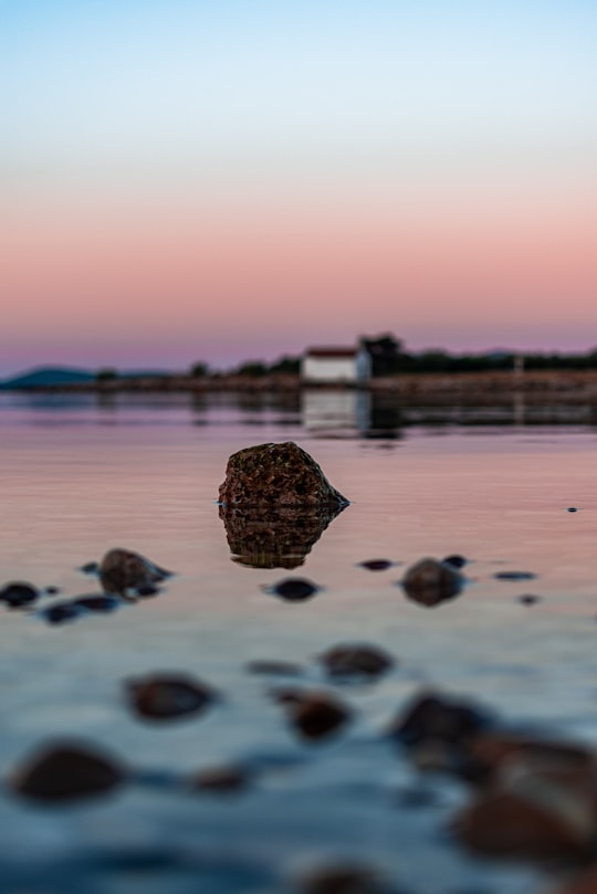 brown rock on the beach during daytime in Pakoštane Croatia