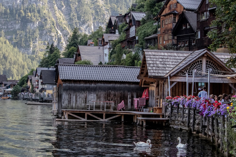 brown wooden houses near body of water during daytime