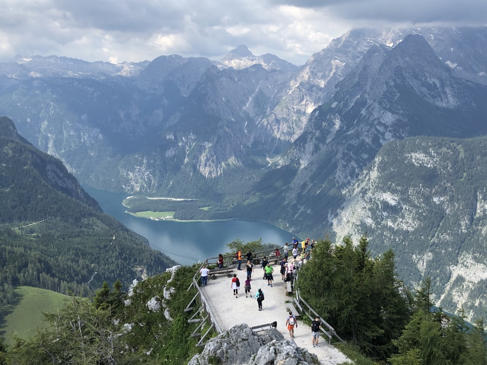 Veduta aerea di alberi verdi e montagne durante il giorno