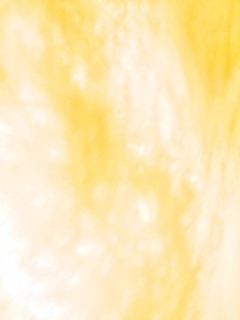 A soft yellow-toned background with subtle minimalist text elements reflecting the Petty Projects aesthetic.