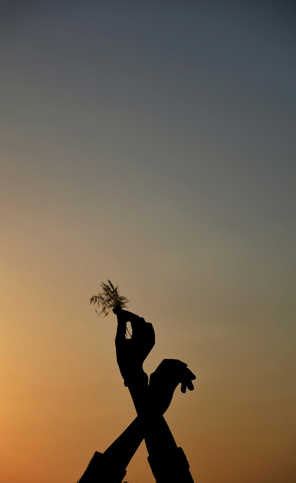 Silueta del hombre sosteniendo la palmera durante la puesta del sol