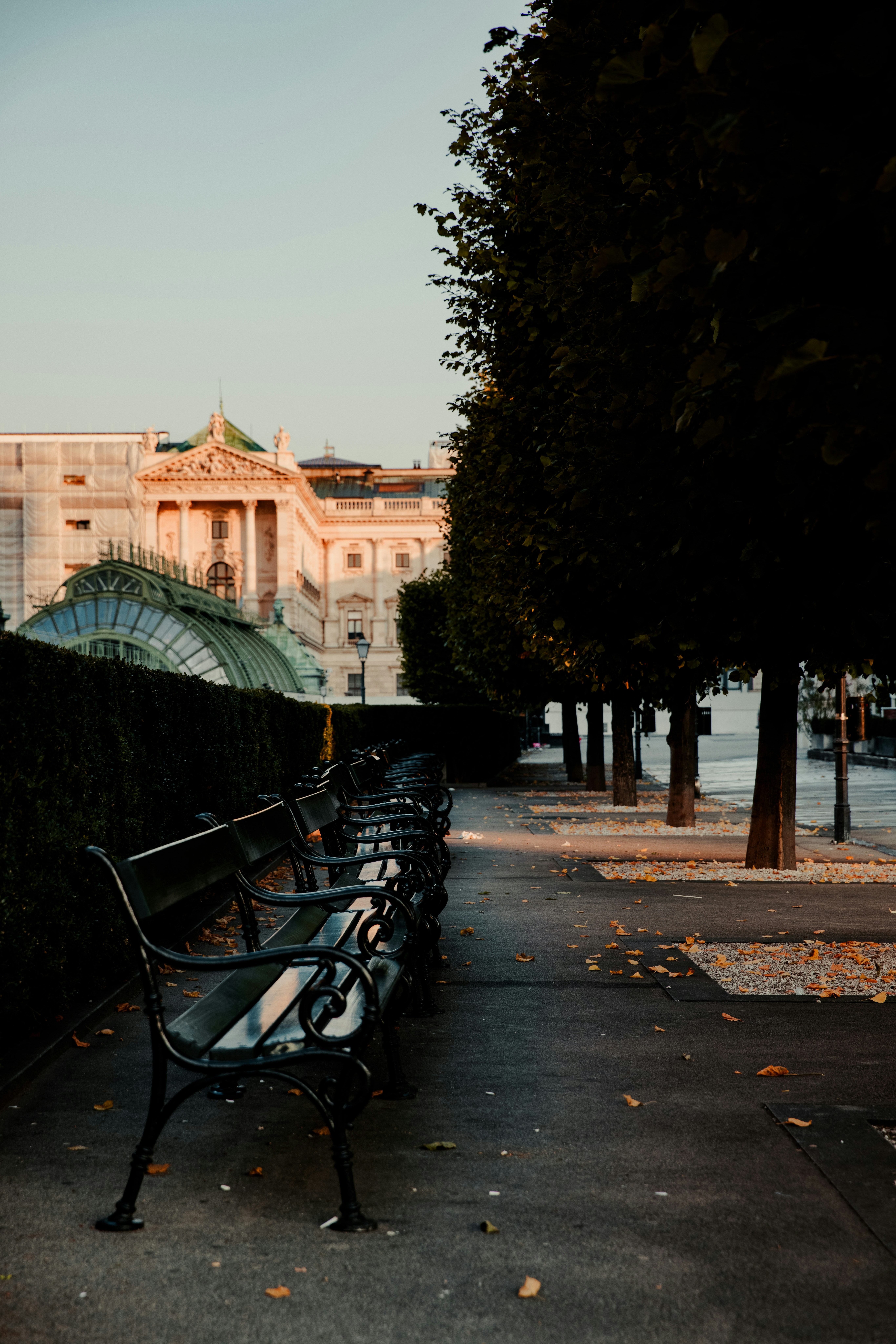 Photo by patresinger