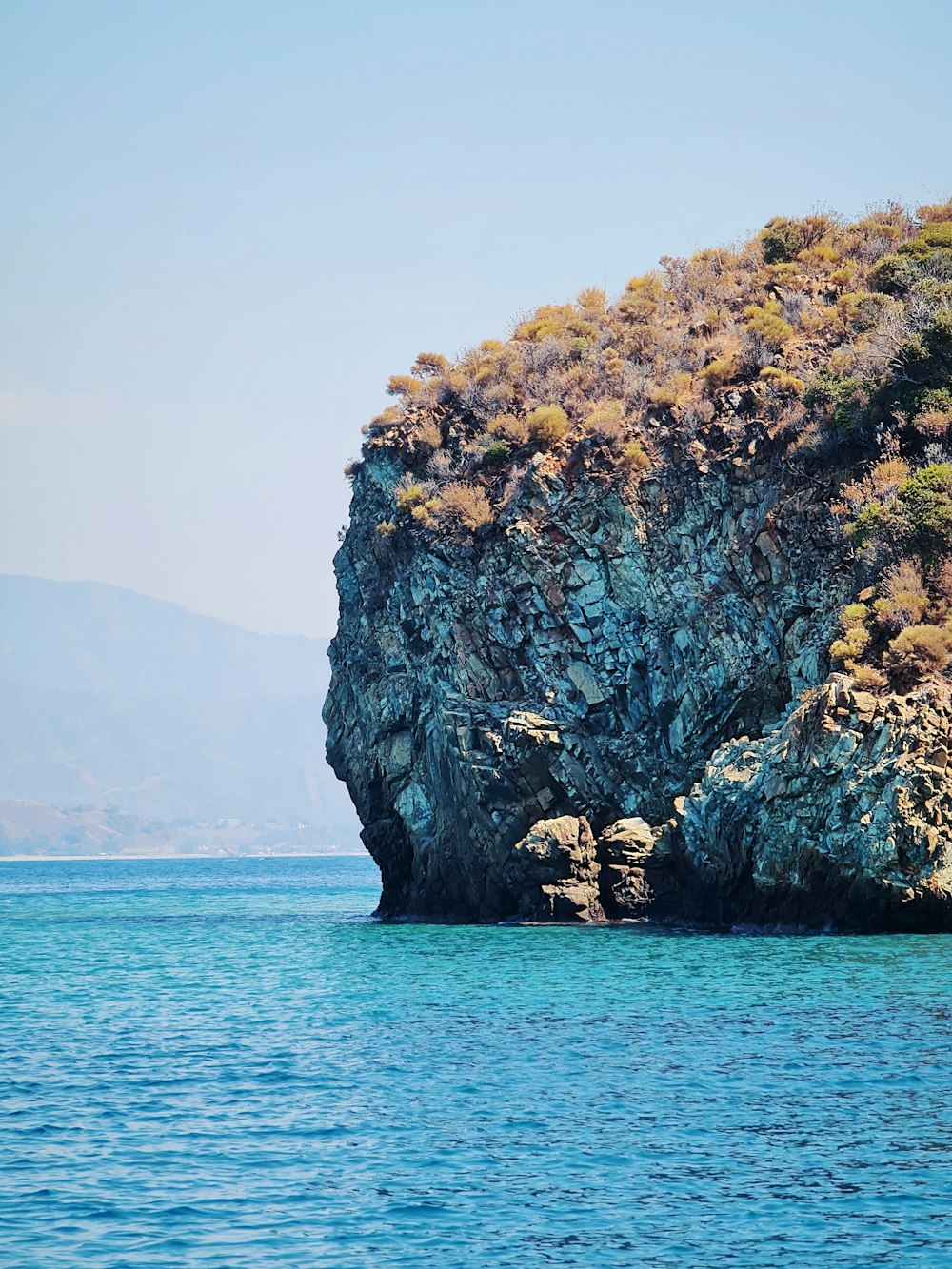 alberi marroni e verdi sulla formazione rocciosa grigia in mezzo al mare durante il giorno