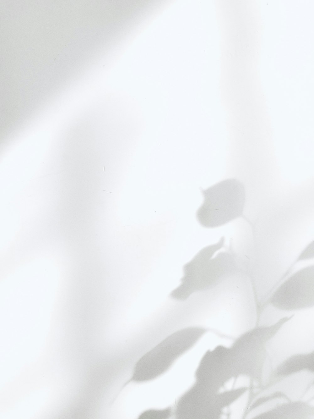 White Wallpapers: Free HD Download [500+ HQ] | Unsplash