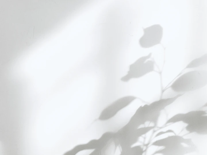 宋锦纹样作品展示图