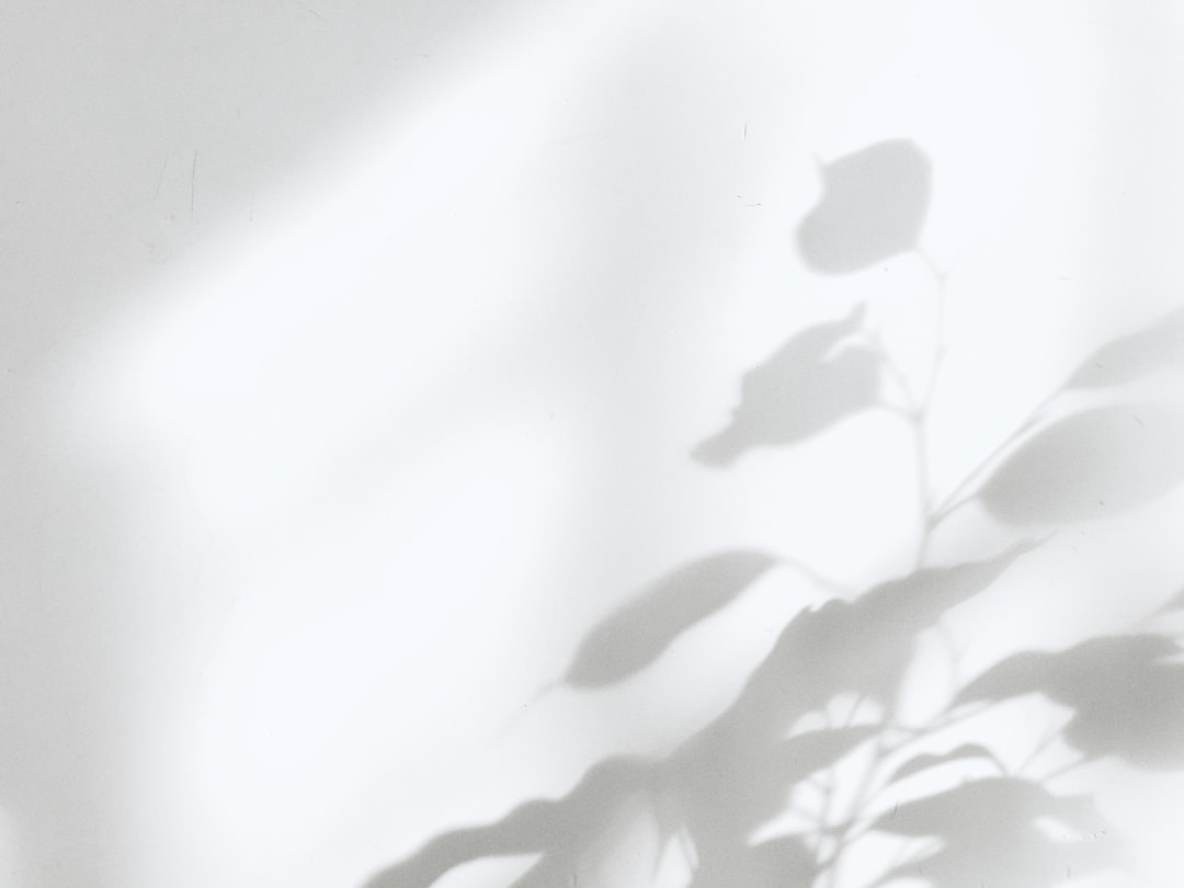 white and black floral textile,