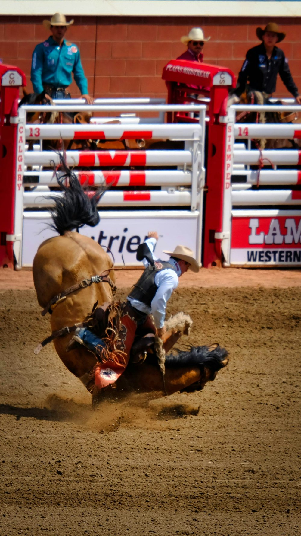 man riding horse near white and red wooden fence during daytime