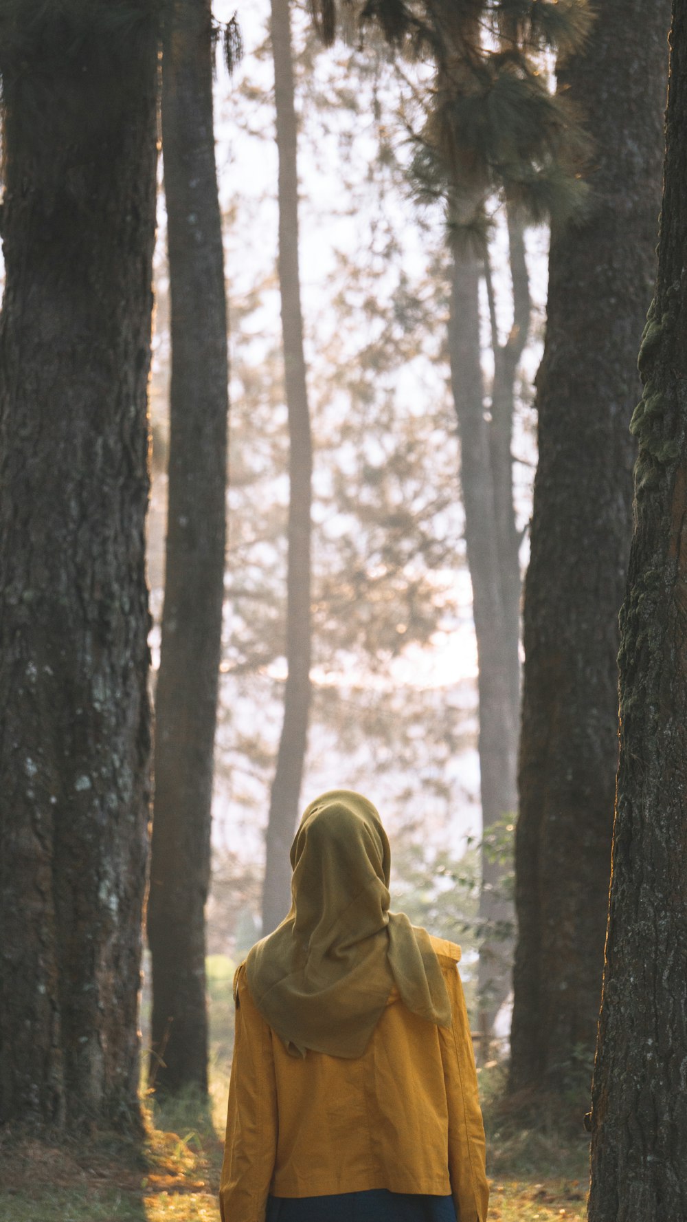 person in brown hoodie standing in front of brown tree