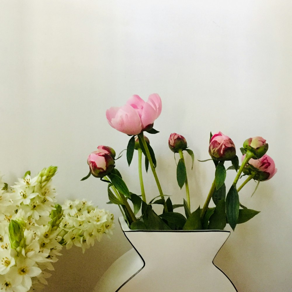 pink roses in clear glass vase