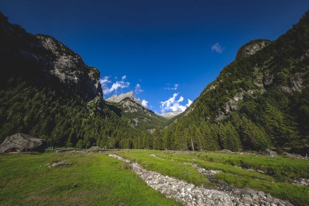 green grass field and mountain under blue sky during daytime