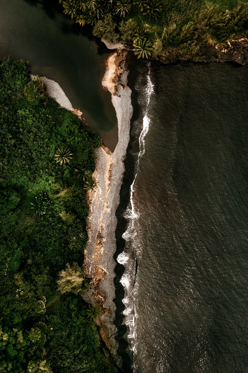 Corcovado National Park