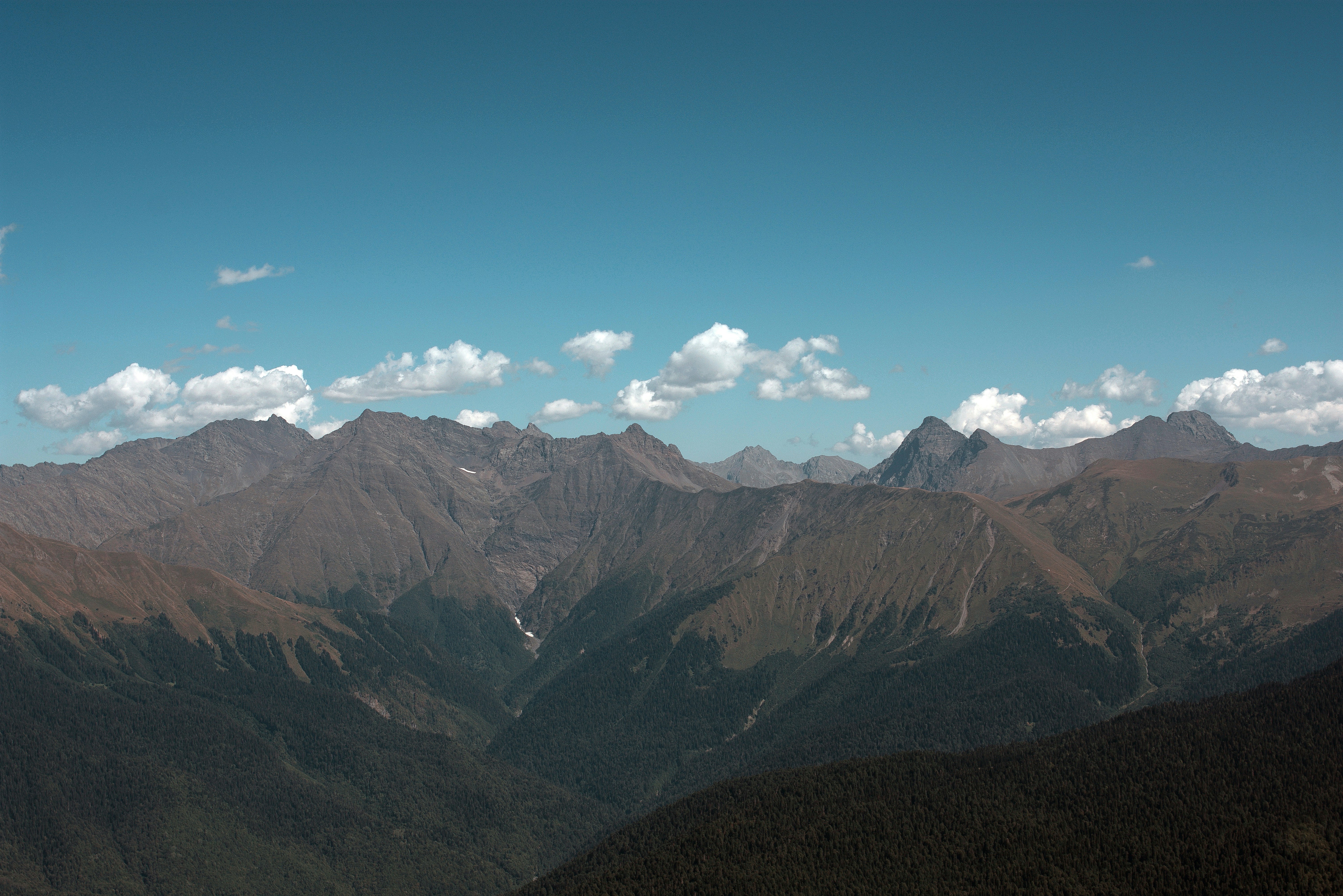 Photo by astashov_artem