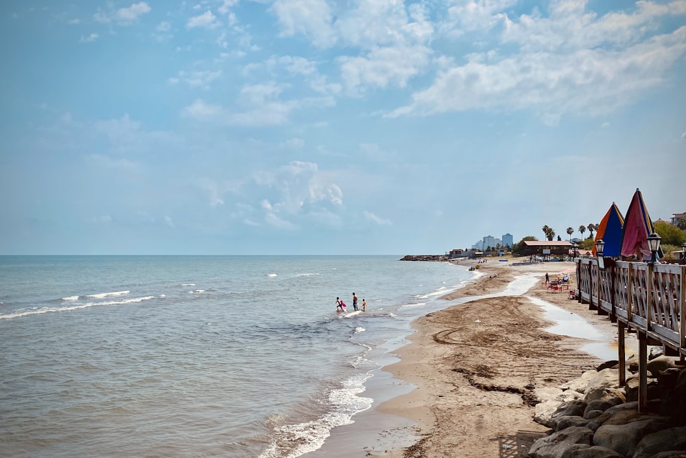 people on beach during daytime