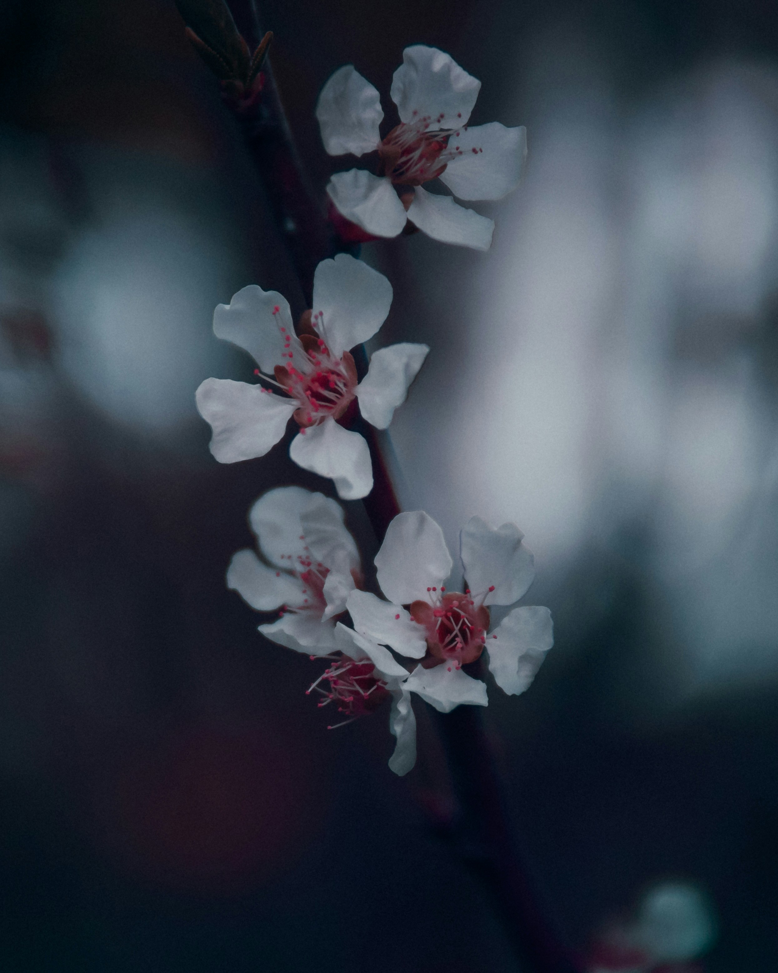 Photo by nature_of_the_experiment