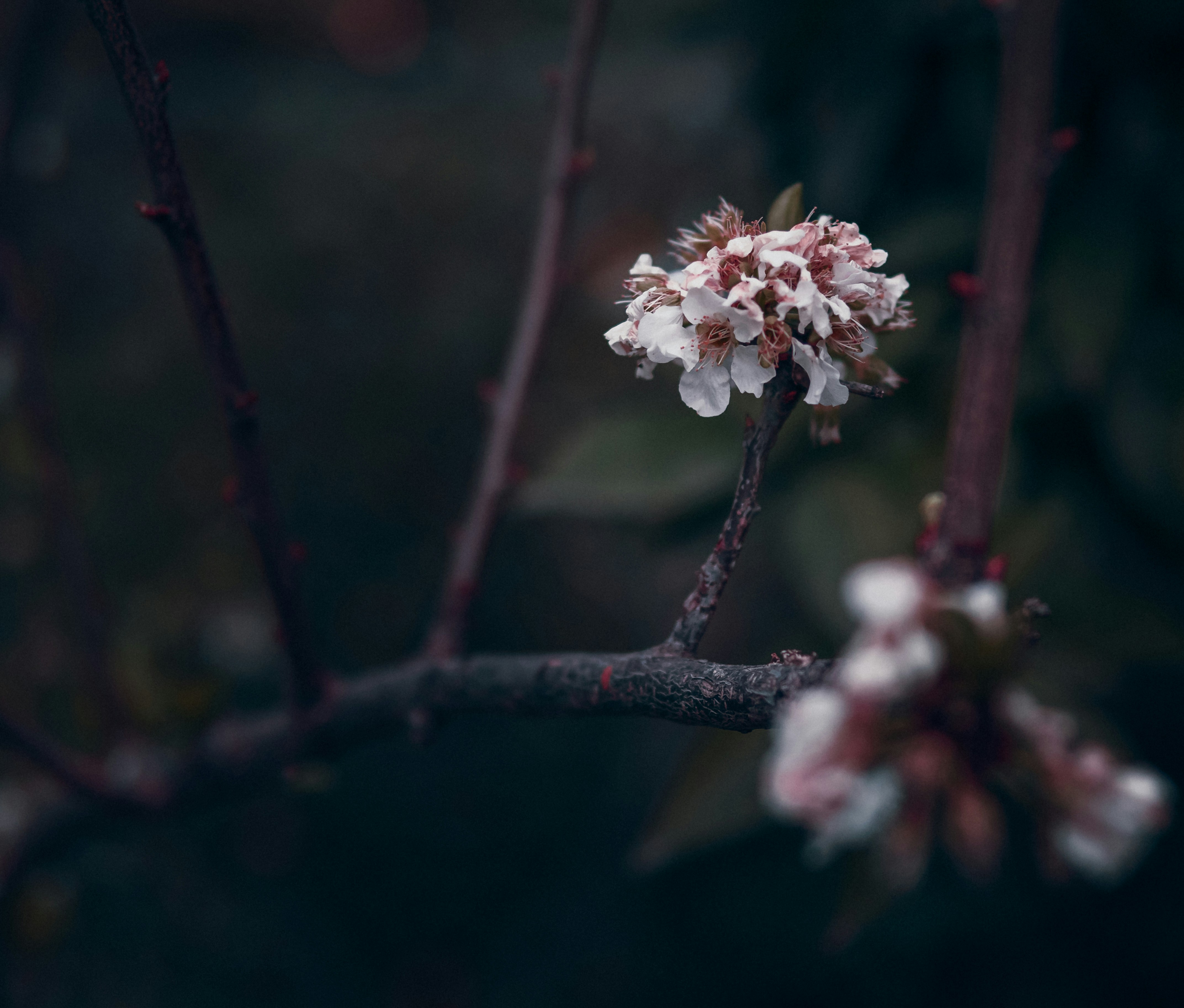 Photo by nature_of_the_experiment