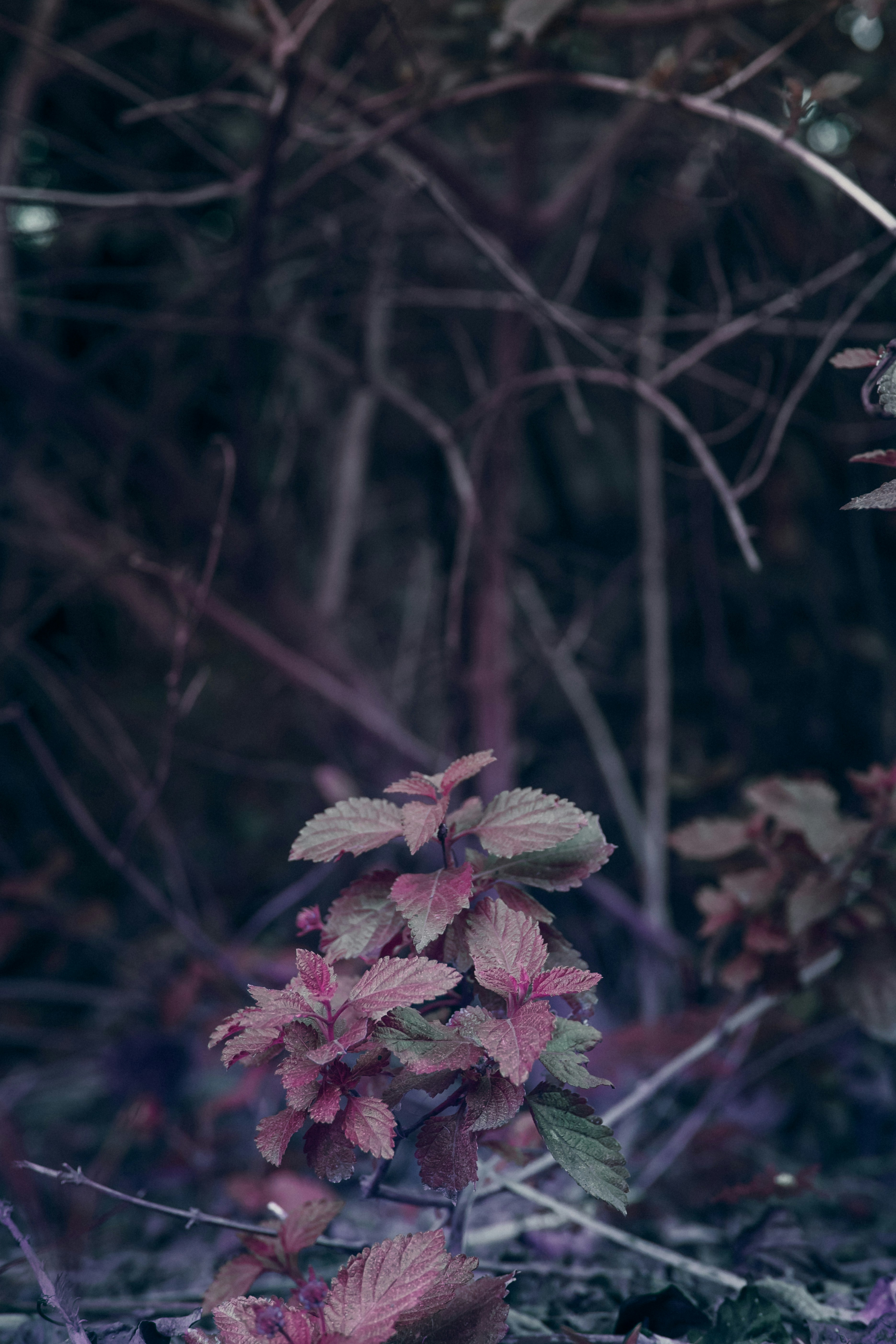 Photo by nature_of_the_experiment