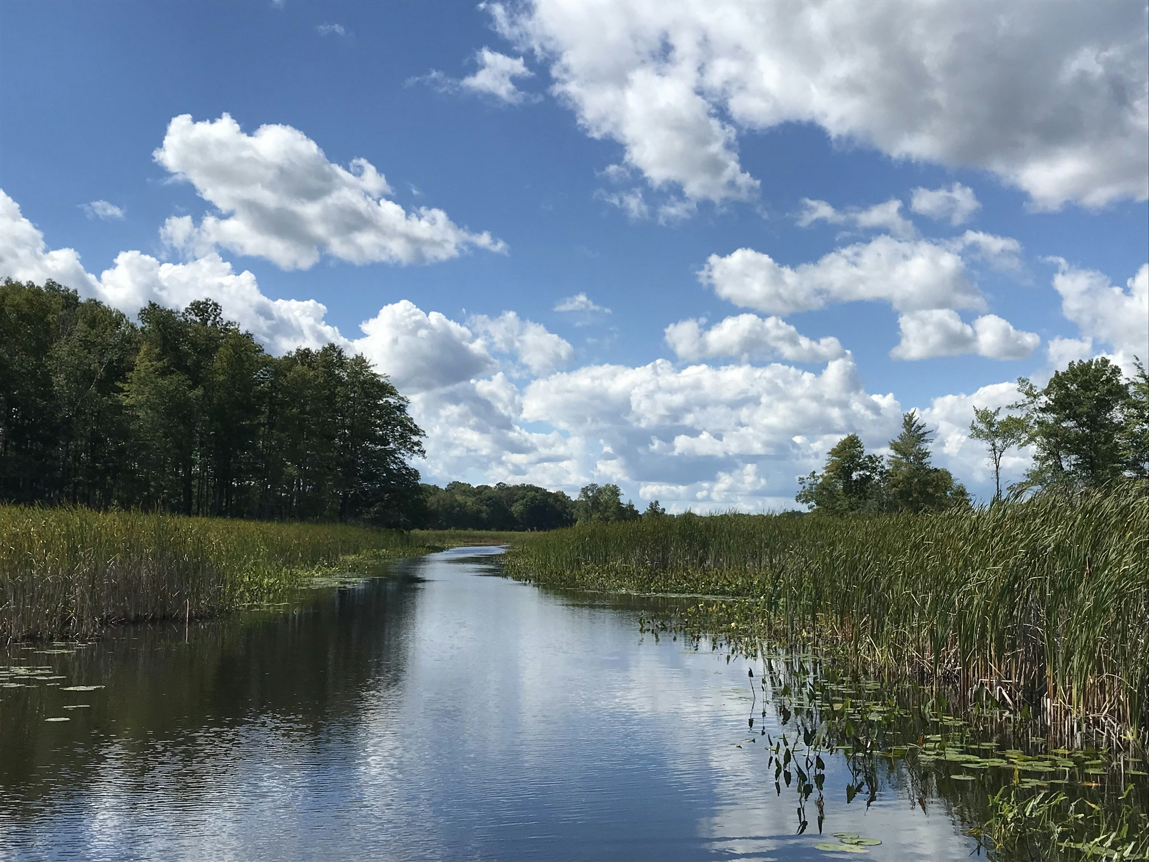 Photo by jeboelliott