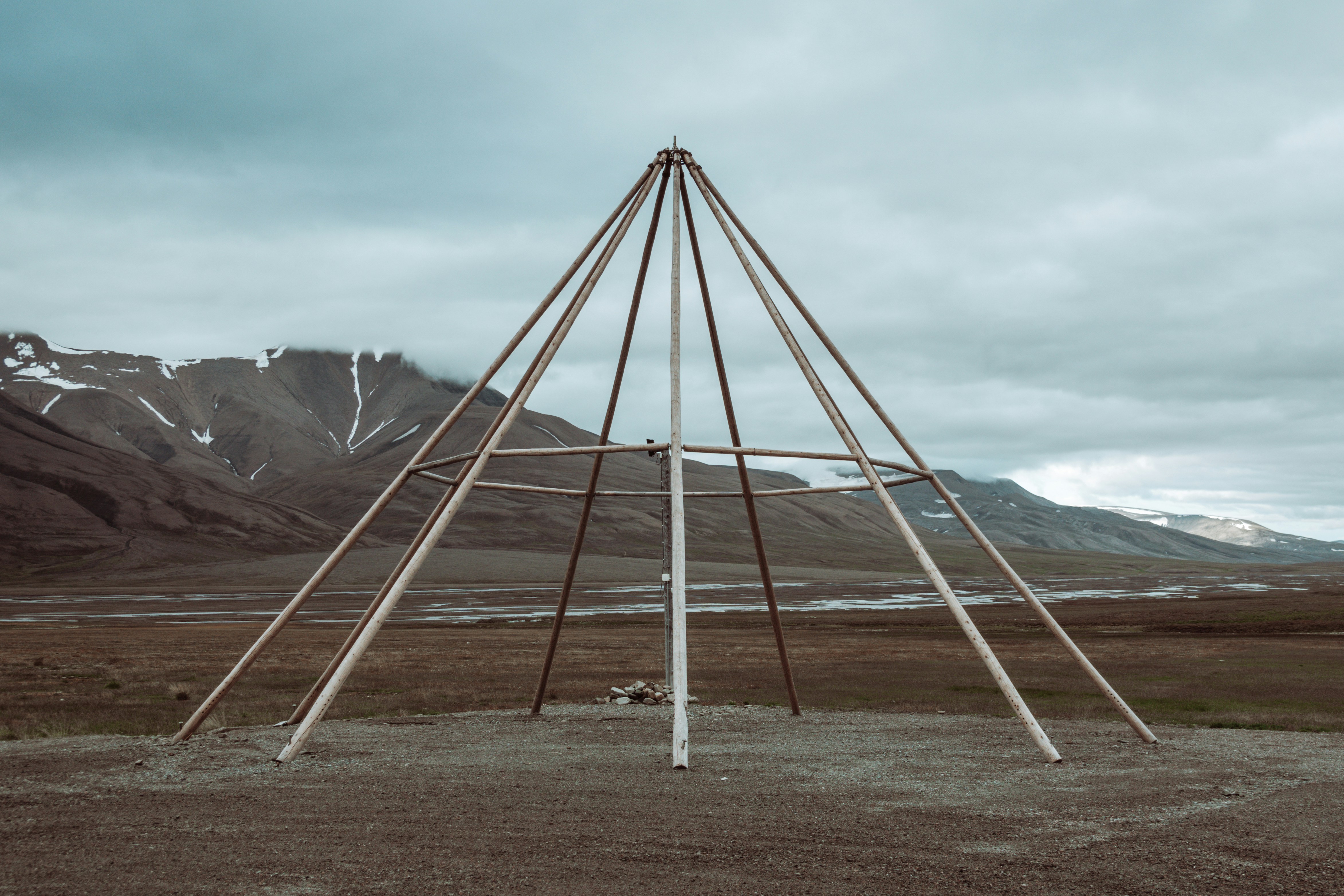 braune Holzstäbchen auf braunem Feld tagsüber