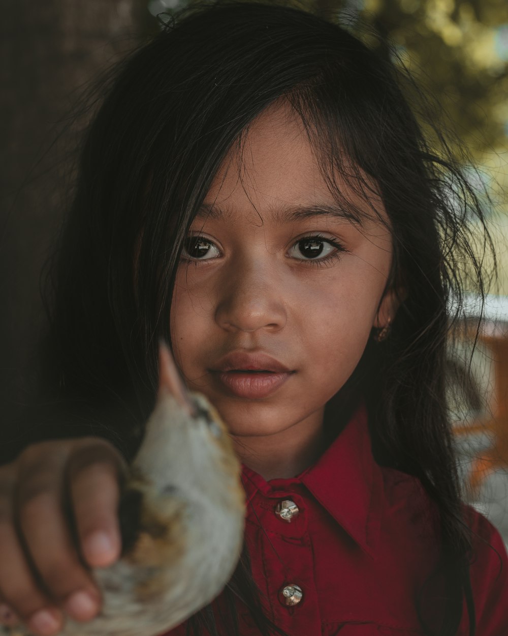 girl in red jacket holding white and brown rabbit