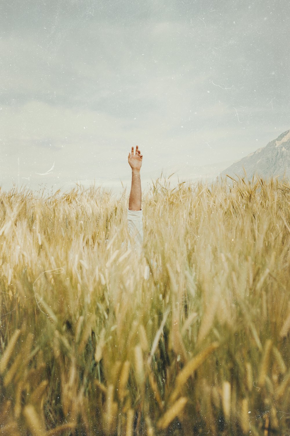 person in white shorts standing on brown grass field during daytime