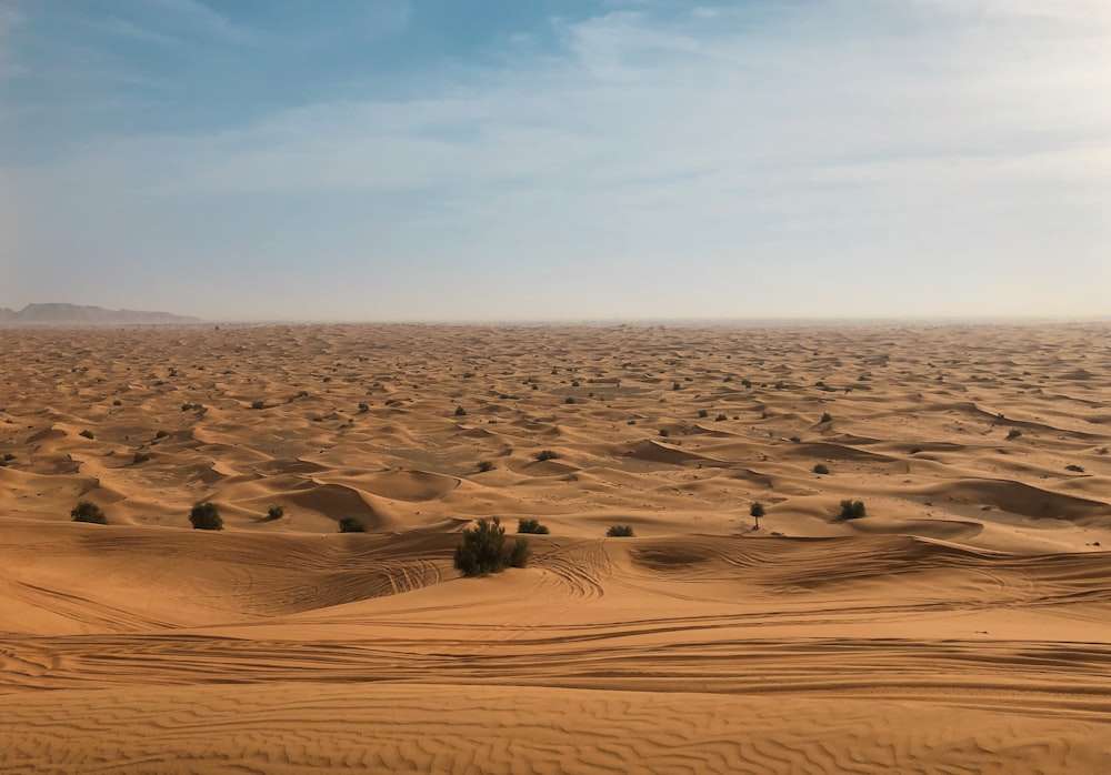 brown sand under blue sky during daytime