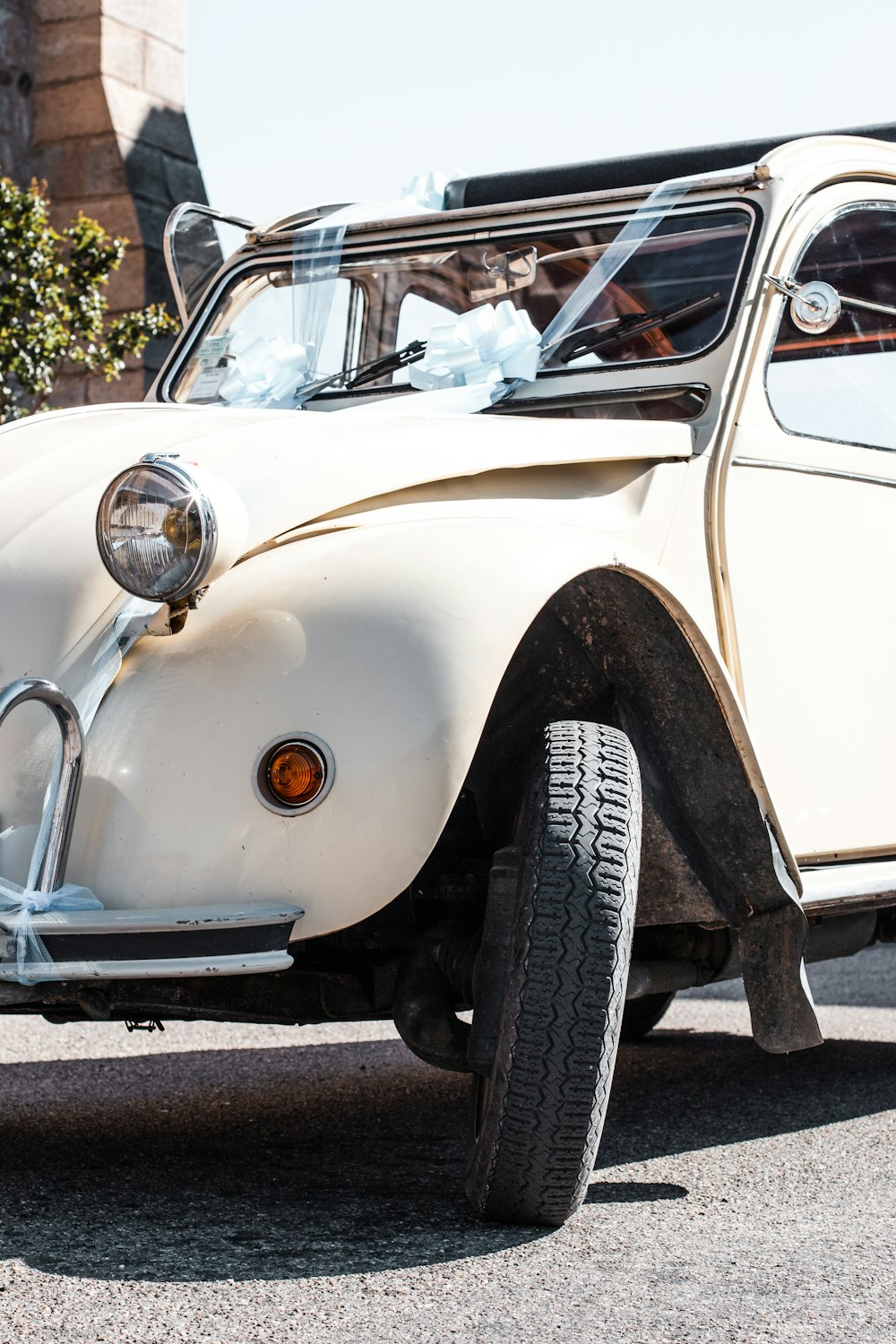 white classic car parked near green tree during daytime