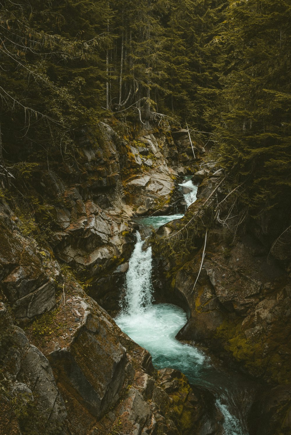 Wasser fällt mitten im Wald