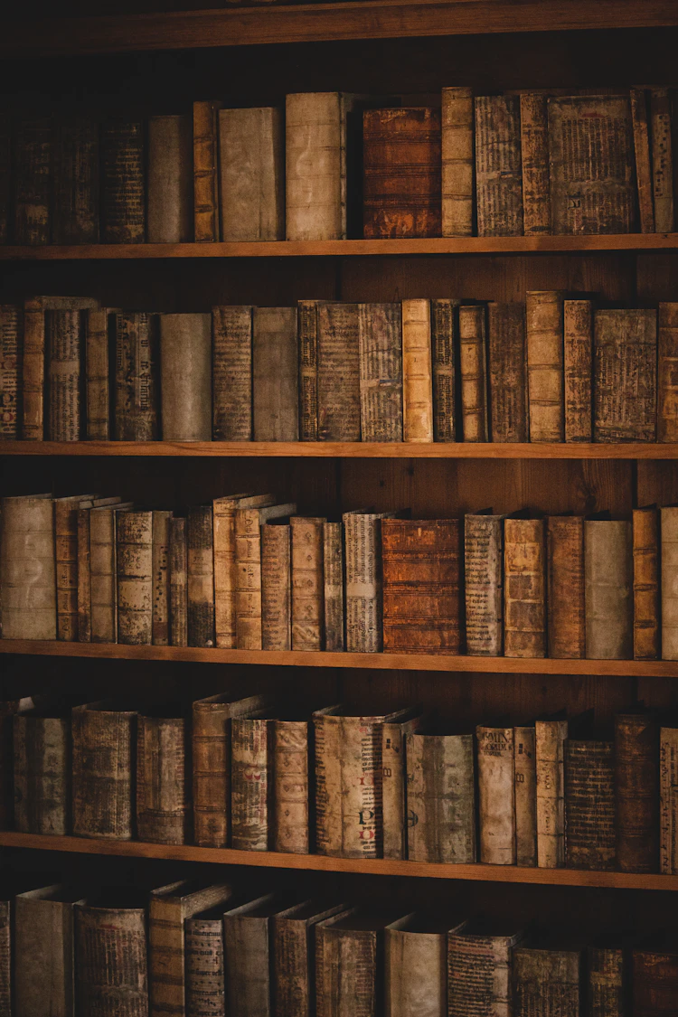 A tall wooden bookshelf filled with books