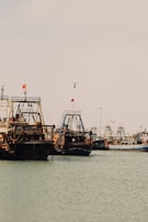 Several fishing boats are docked on a calm body of water, with seagulls flying overhead. The boats have tall masts and are equipped with nets and fishing gear. Flags are seen atop the masts, and the overall atmosphere is serene and peaceful.