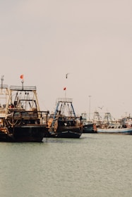 Several fishing boats are docked on a calm body of water, with seagulls flying overhead. The boats have tall masts and are equipped with nets and fishing gear. Flags are seen atop the masts, and the overall atmosphere is serene and peaceful.