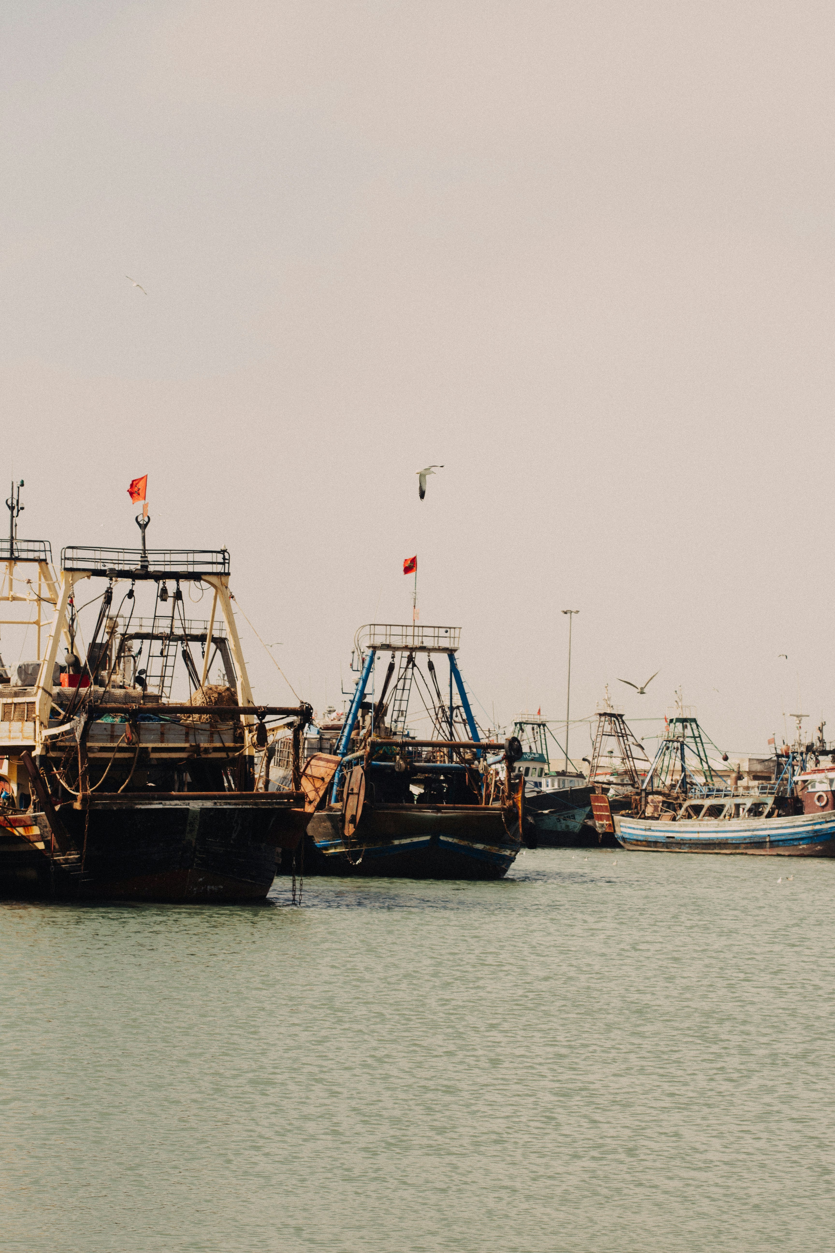 black and brown boat on sea during daytime