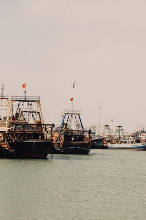 Several fishing boats are docked on a calm body of water, with seagulls flying overhead. The boats have tall masts and are equipped with nets and fishing gear. Flags are seen atop the masts, and the overall atmosphere is serene and peaceful.