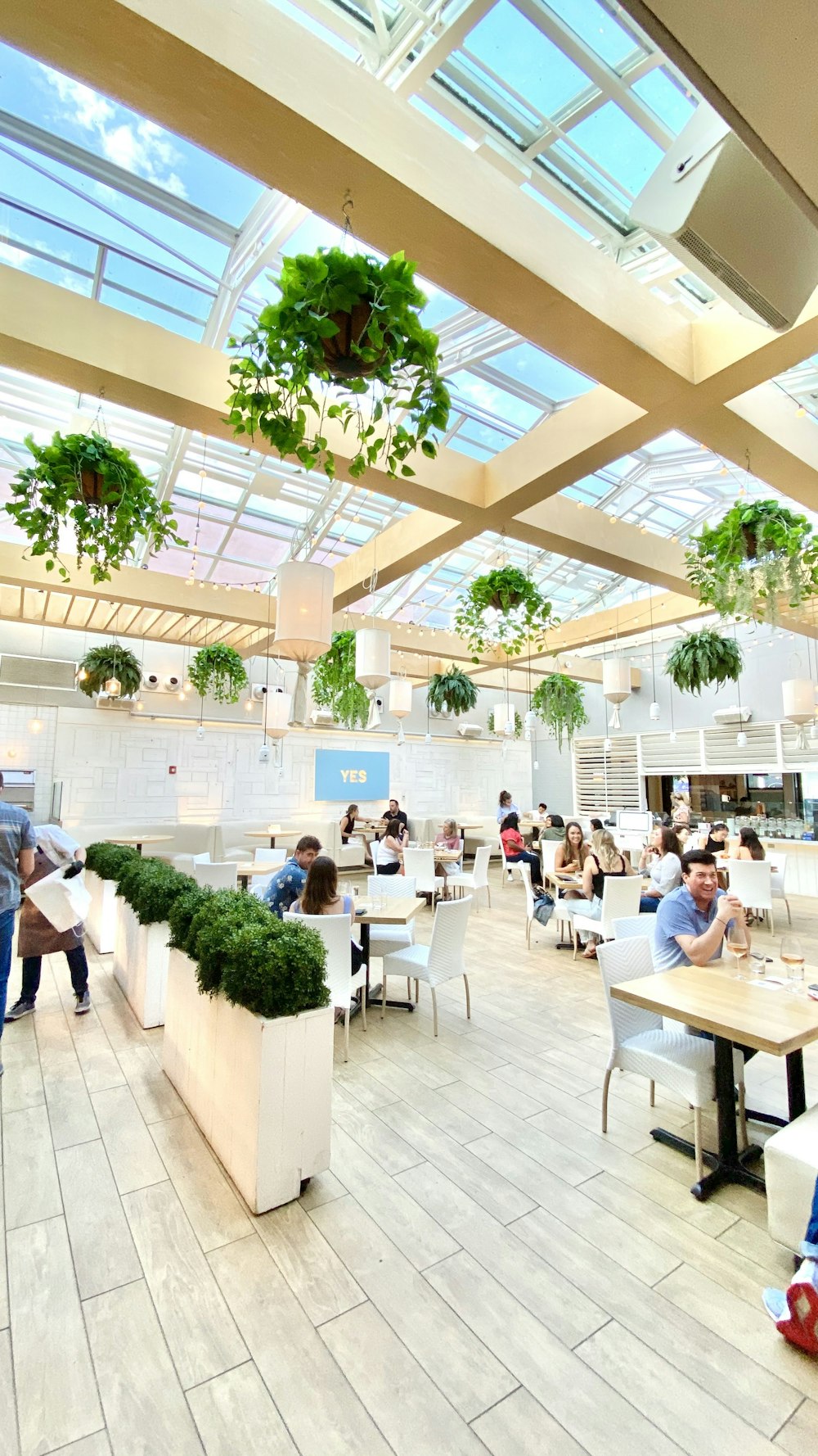 people sitting on chairs in restaurant