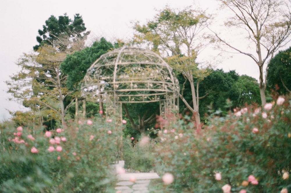 white and brown gazebo surrounded by green trees during daytime