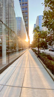 white car on road during daytime