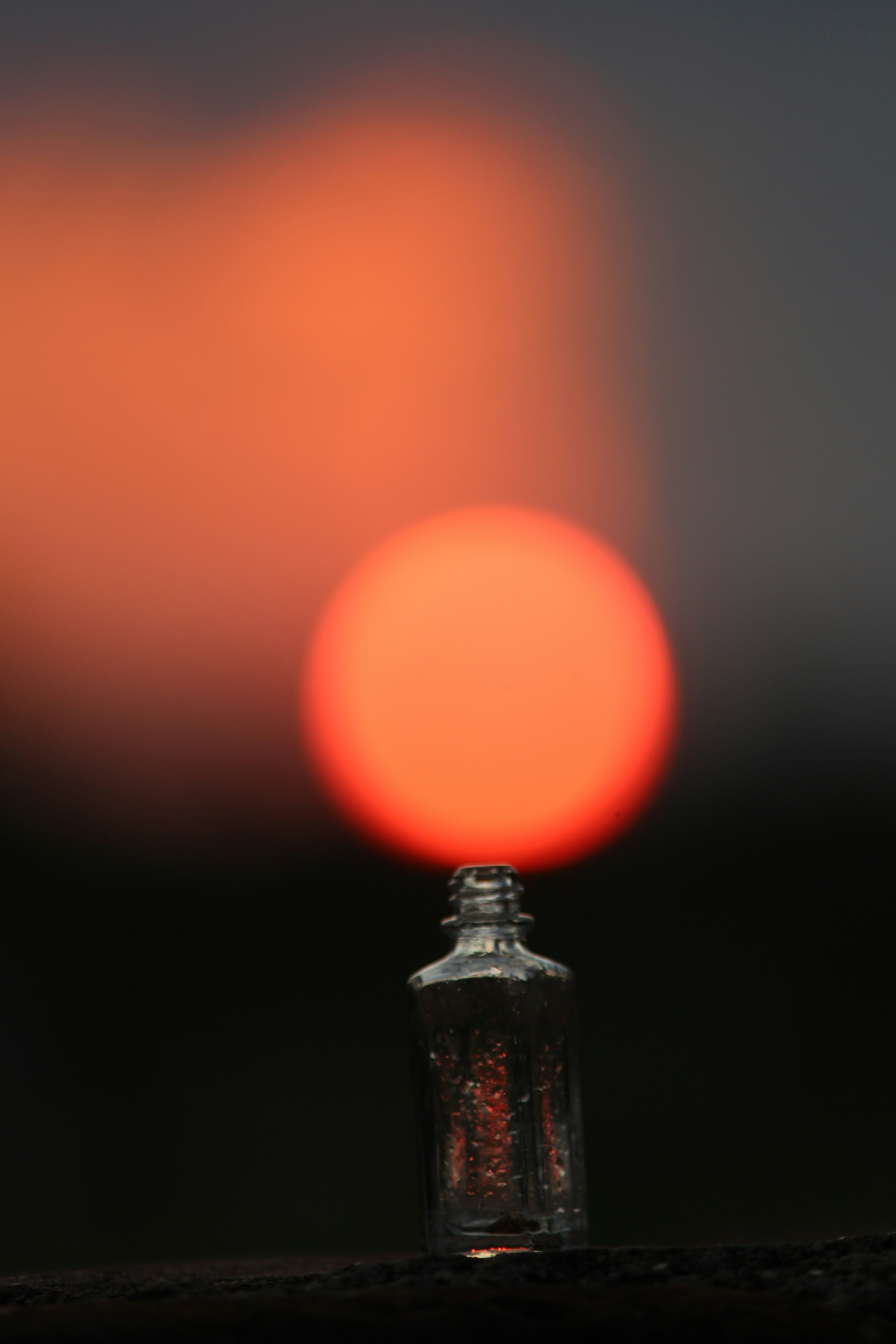 Beetroot Kanji Bottle