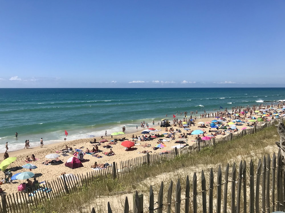 people on beach during daytime