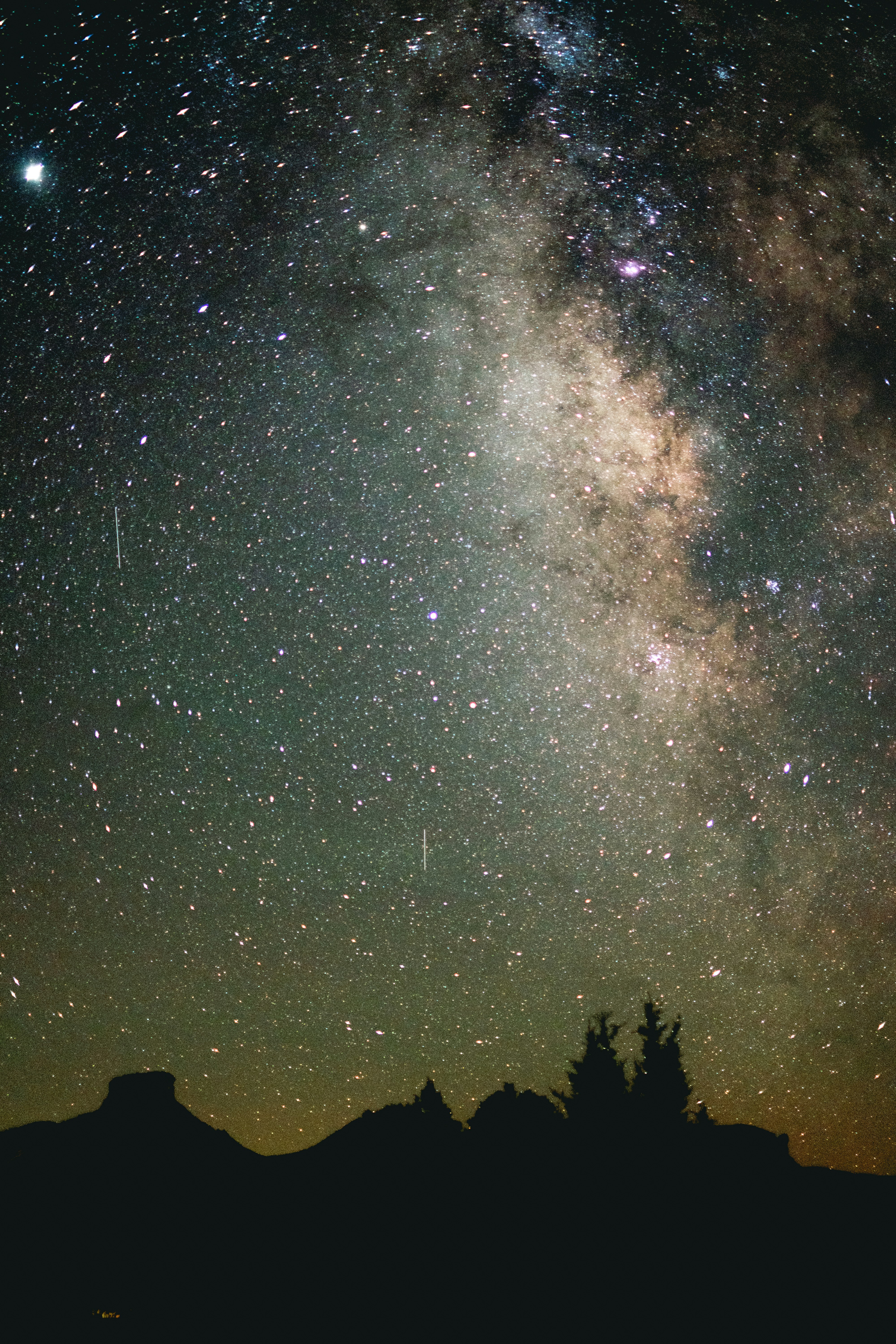 silhouette of trees under starry night