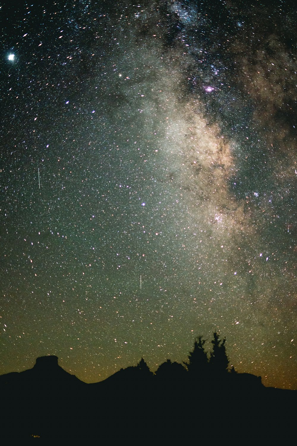 silhouette of trees under starry night