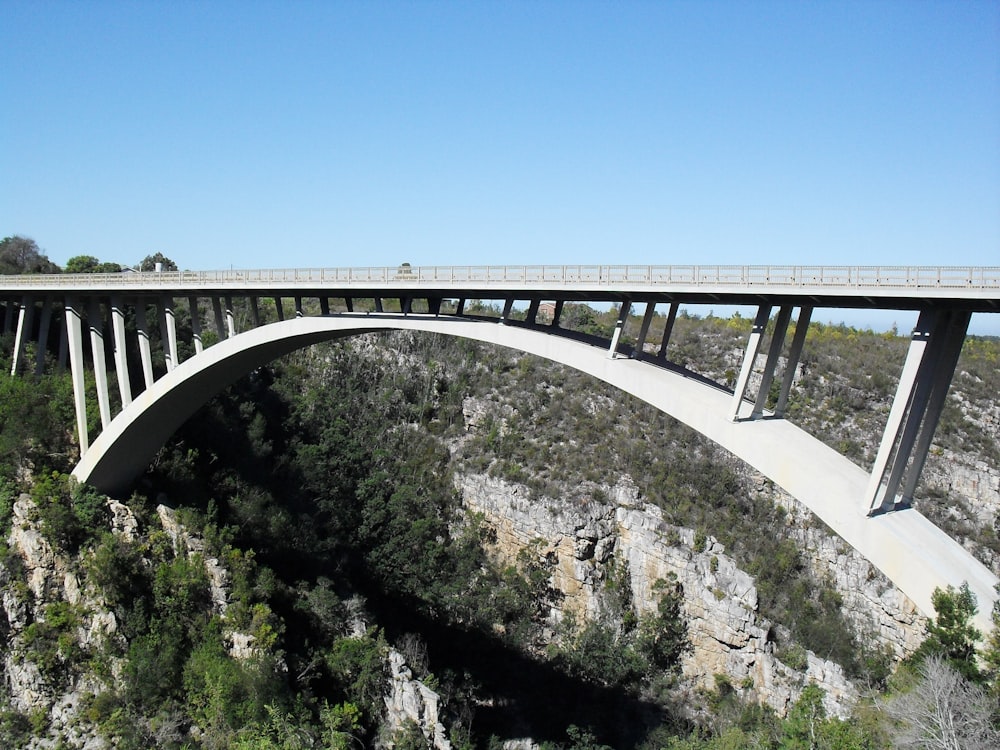 white concrete bridge over river